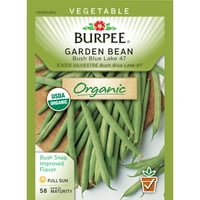 Burpee-Bean, Bush Blue Lake Seed Packet
