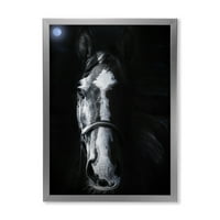 Portréja a ló bámulásának, baljós, keretes fotózásának művészetének nyomtatása
