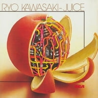 Ryo Kawasaki - Juice-Vinyl