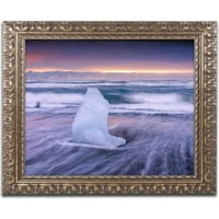 Védjegy képzőművészet 'szörfözés' vászon művészet Michael Blanchette Photography, arany díszes keret