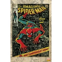 Canvas Art Work Spider-Man, 21.5 32,5