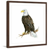 Marmont Hill Bald Eagle Michelle Dujardin keretes festmény nyomtatás