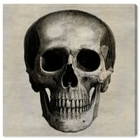 Wynwood Studio 'Skull' szimbólumok és tárgyak fali művészet vászon nyomtatás - fekete, fehér, 30 30